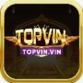 topvinvin