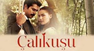 Чучулигата / Çalıkuşu (2013)