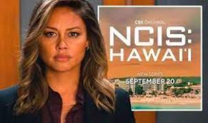S02 - Военни престъпления: Хавай - Сезон 2